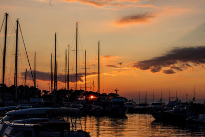 Sailboats in marina at sunset
