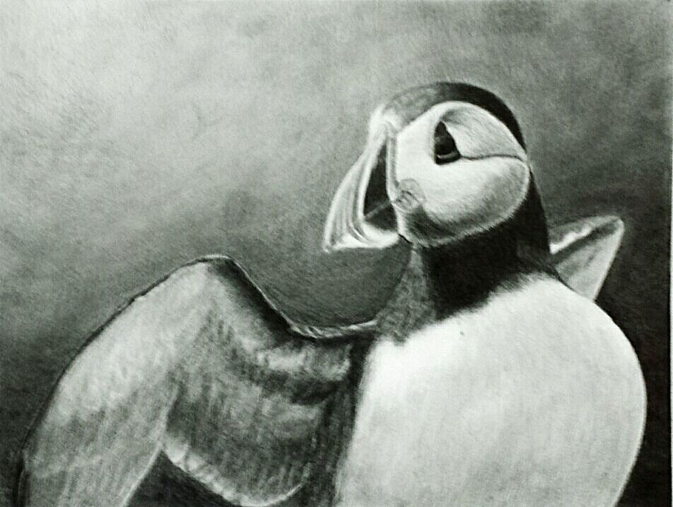 Graphite drawing