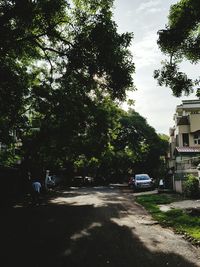 Road with trees in background