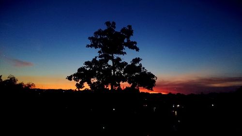 Silhouette trees against sky during sunset