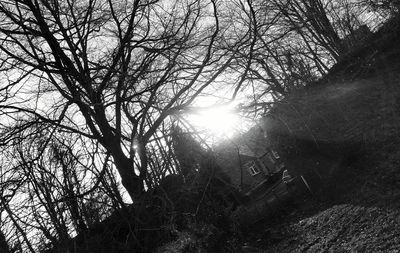Low angle view of bare trees against sky
