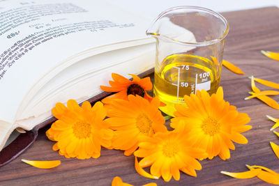 High angle view of yellow flower on table