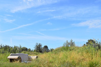 Scenic view of field against blue sky