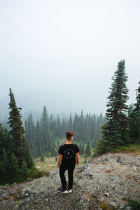 Rear view of man standing in forest against sky