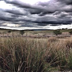 Scenic view of field against storm clouds