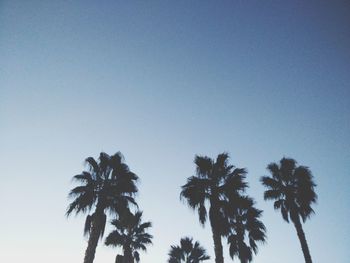 Low angle view of palm trees against clear blue sky