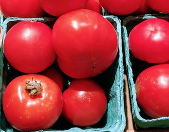 Close-up of fresh ripe red tomatoes