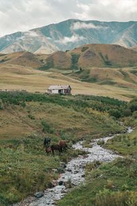 Scenic view of landscape