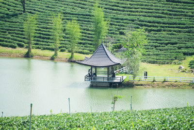 Scenic view of agricultural field by lake
