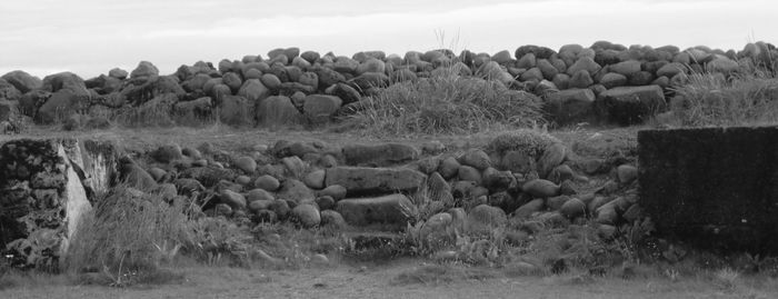 Scenic view of grassy field against sky