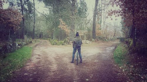 Road passing through forest