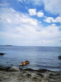 Scenic view of sea against sky