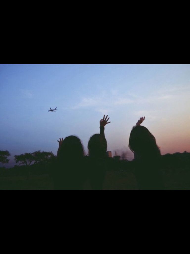 silhouette, flying, sky, animal themes, mid-air, transfer print, lifestyles, tree, leisure activity, sunset, auto post production filter, wildlife, bird, animals in the wild, copy space, men, transportation, nature