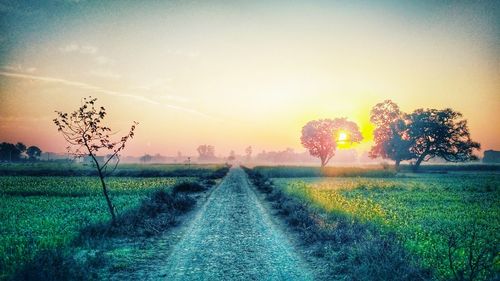 Scenic view of field against sky during sunset