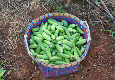 High angle view of vegetables in basket