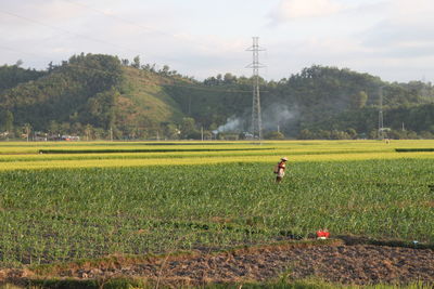 Woman spraying insecticide in fields
