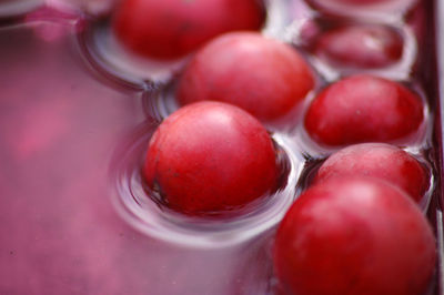 Close-up of cherries