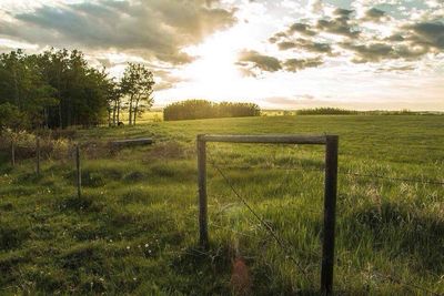 Scenic view of grassy field against cloudy sky