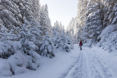 Rear view of man skiing on snow covered mountain
