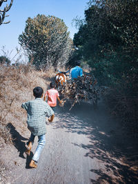 Rear view of people walking on plant