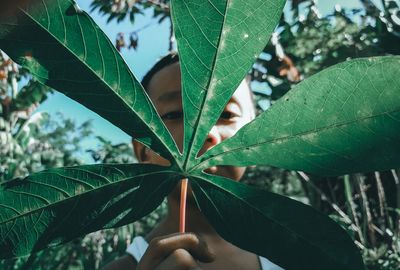 Close-up of boy covering face by plant leaf 