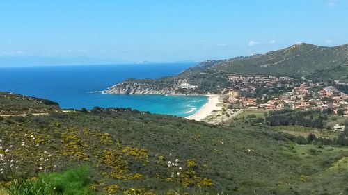 Aerial view of beach