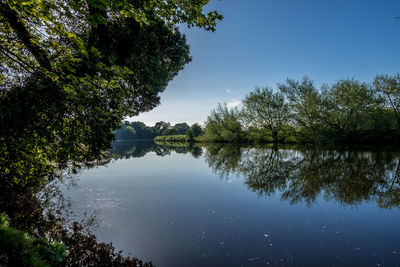 Reflection of trees in lake against sky