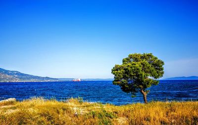 Scenic view of sea against clear blue sky