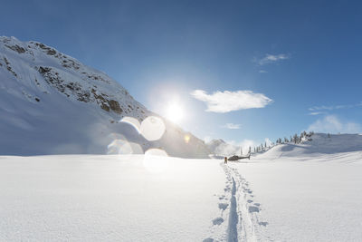 Fresh tracks on a bluebird day