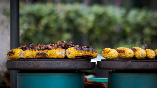 Close-up of meat on barbecue grill