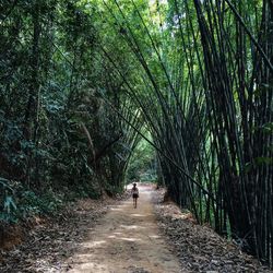 People walking on footpath