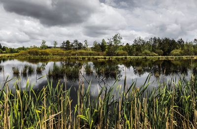 Scenic view of lake against sky