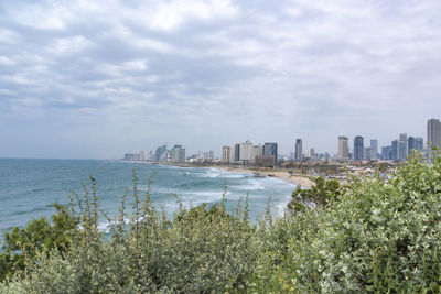 A body of water with a city in the background