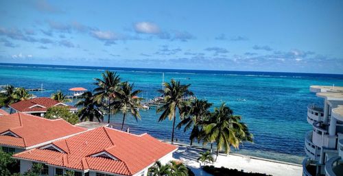 High angle view of palm trees by sea