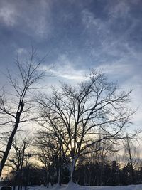 Low angle view of bare trees against sky