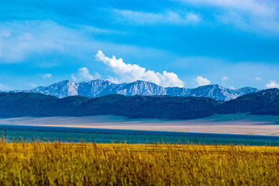 Scenic view of field against clear sky