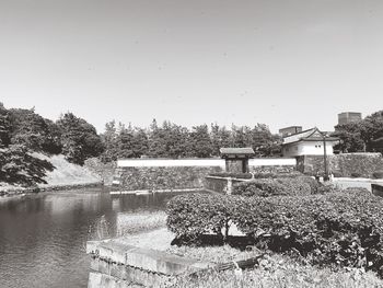 Plants by lake against buildings against clear sky