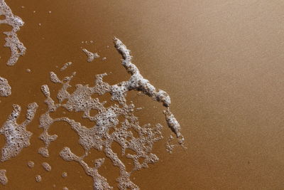 Close-up of water on sand
