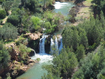 Scenic view of waterfall in forest