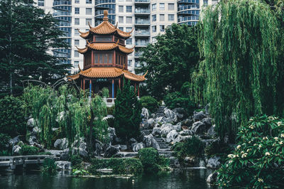 Trees and buildings in lake