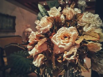 Close-up of roses