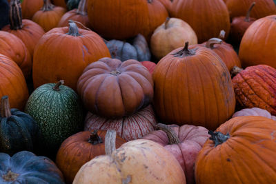 Full frame shot of pumpkins at market