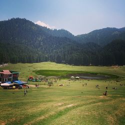 Scenic view of grassy field