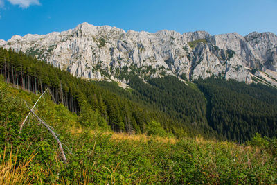 Scenic view of mountains against clear sky