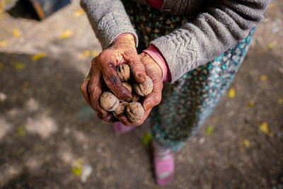 Hands of senior woman holding handful of walnuts.