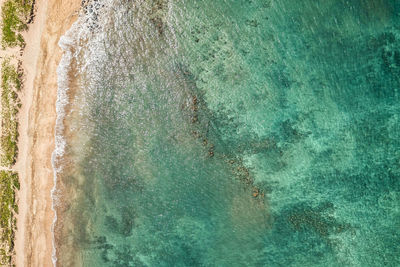 Top down view into teal water from beautiful hawaiian island of maui with white sand beach