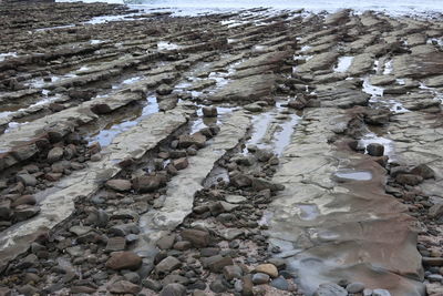 High angle view of stones on beach