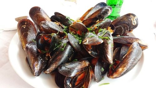 Close-up of crab on plate