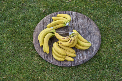Directly above shot of bananas on wood at grassy field