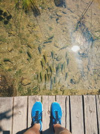 Low section of person standing by lake